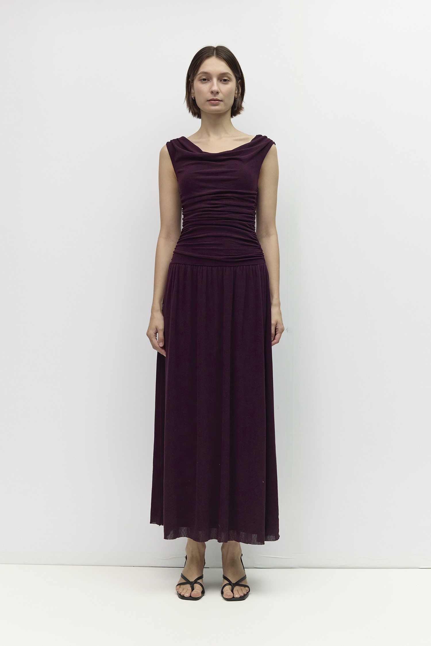 DAR1324-PLUM