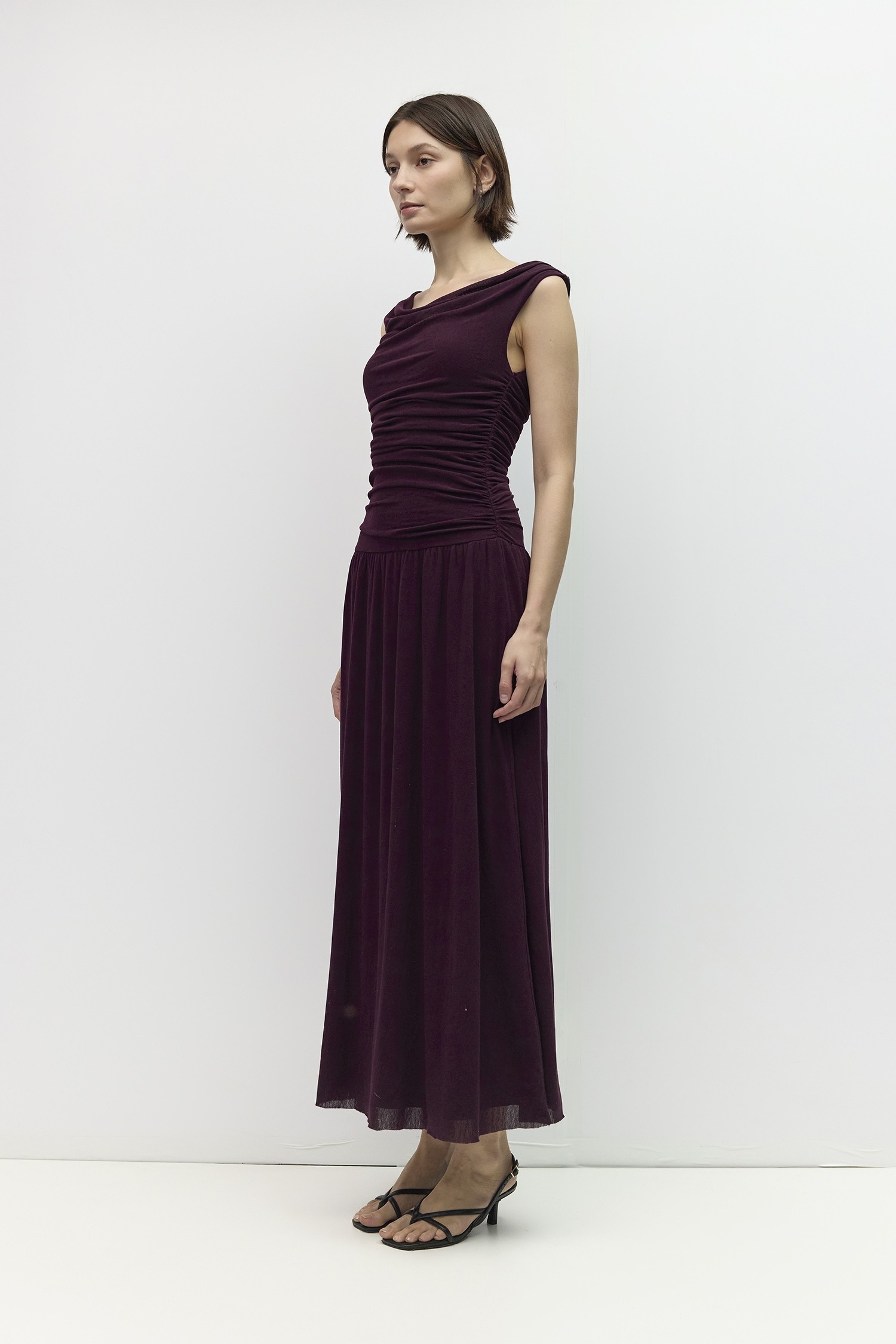 DAR1324-PLUM