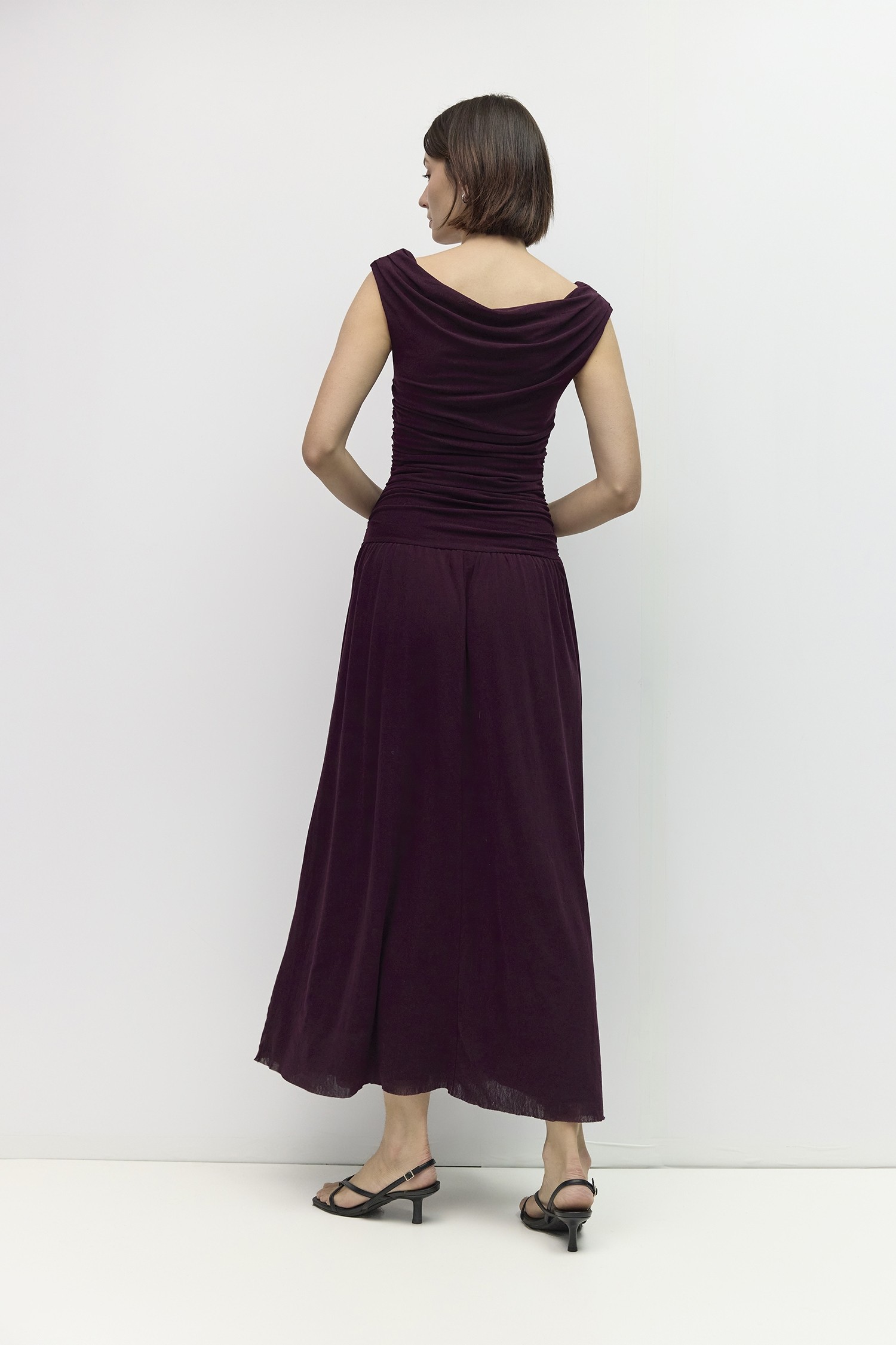 DAR1324-PLUM