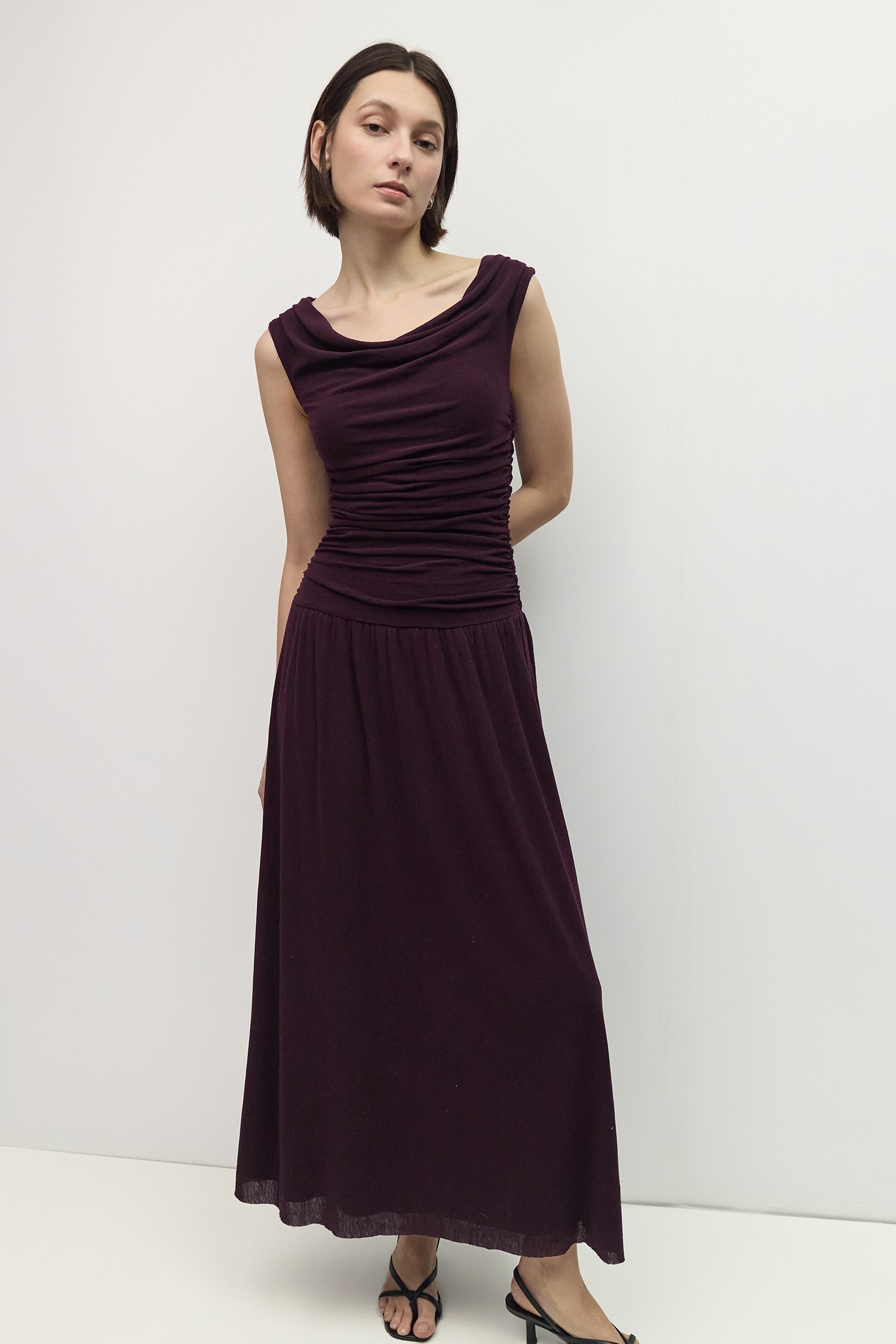 DAR1324-PLUM
