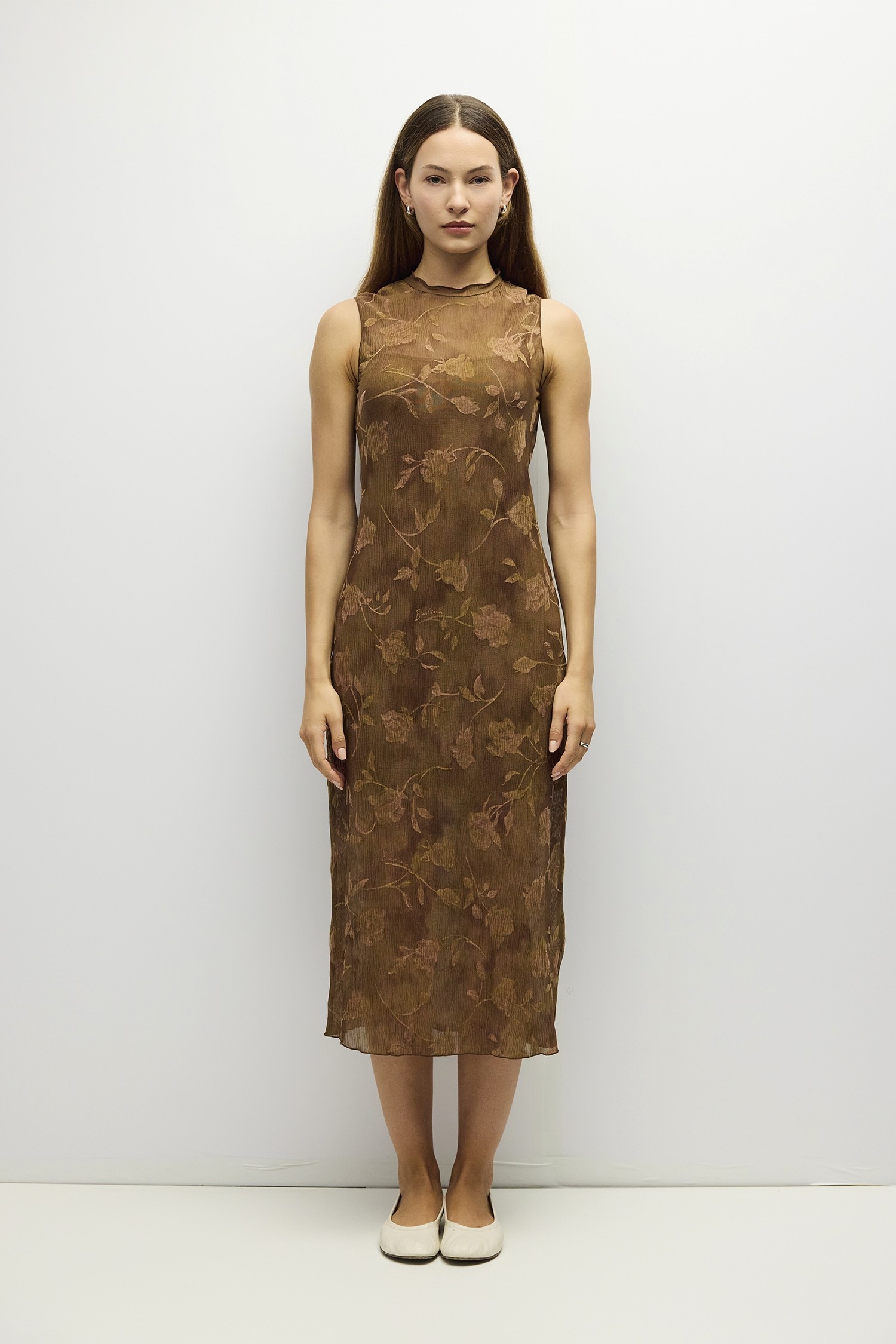 DAR1664-BROWN