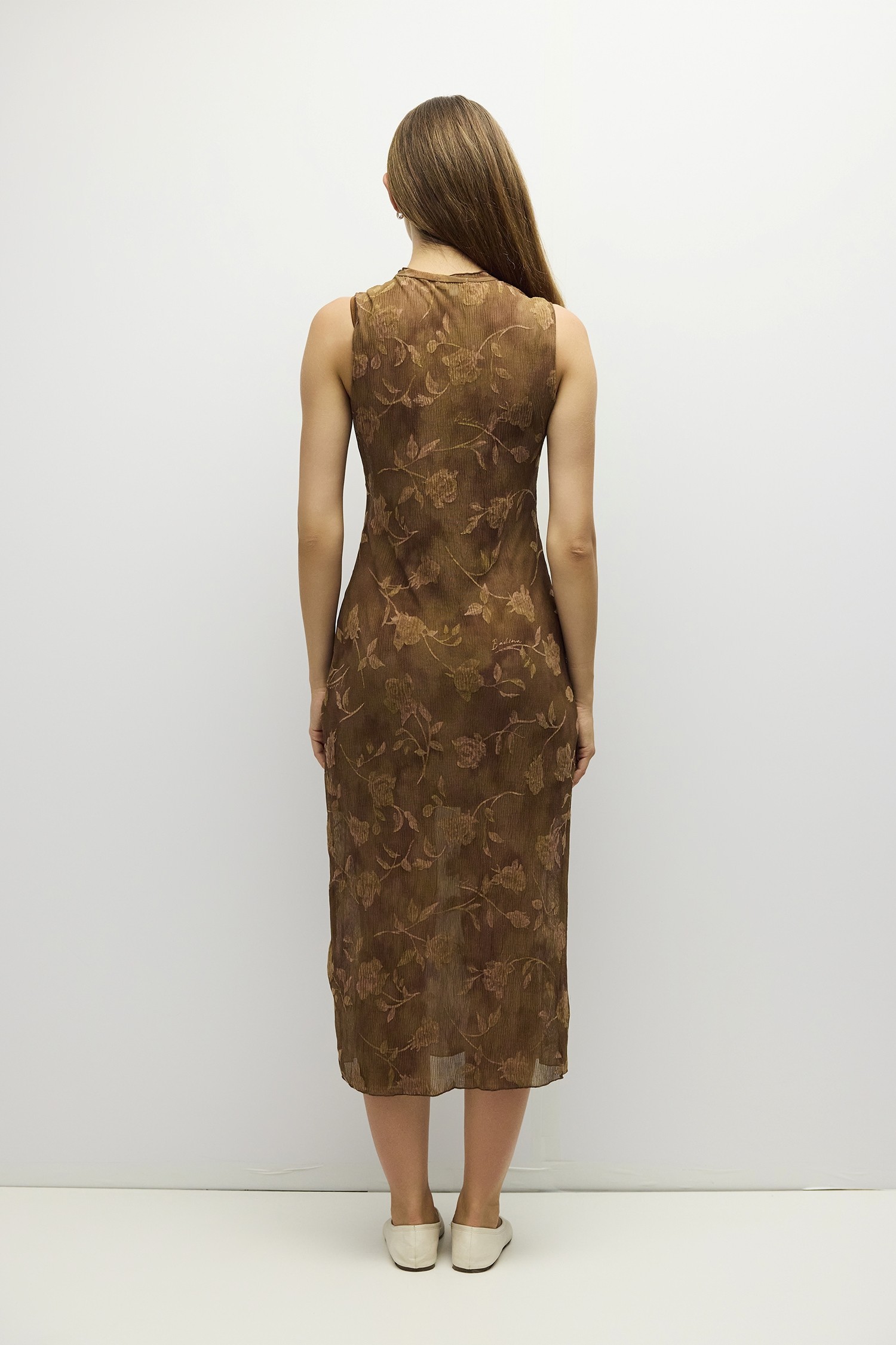 DAR1664-BROWN
