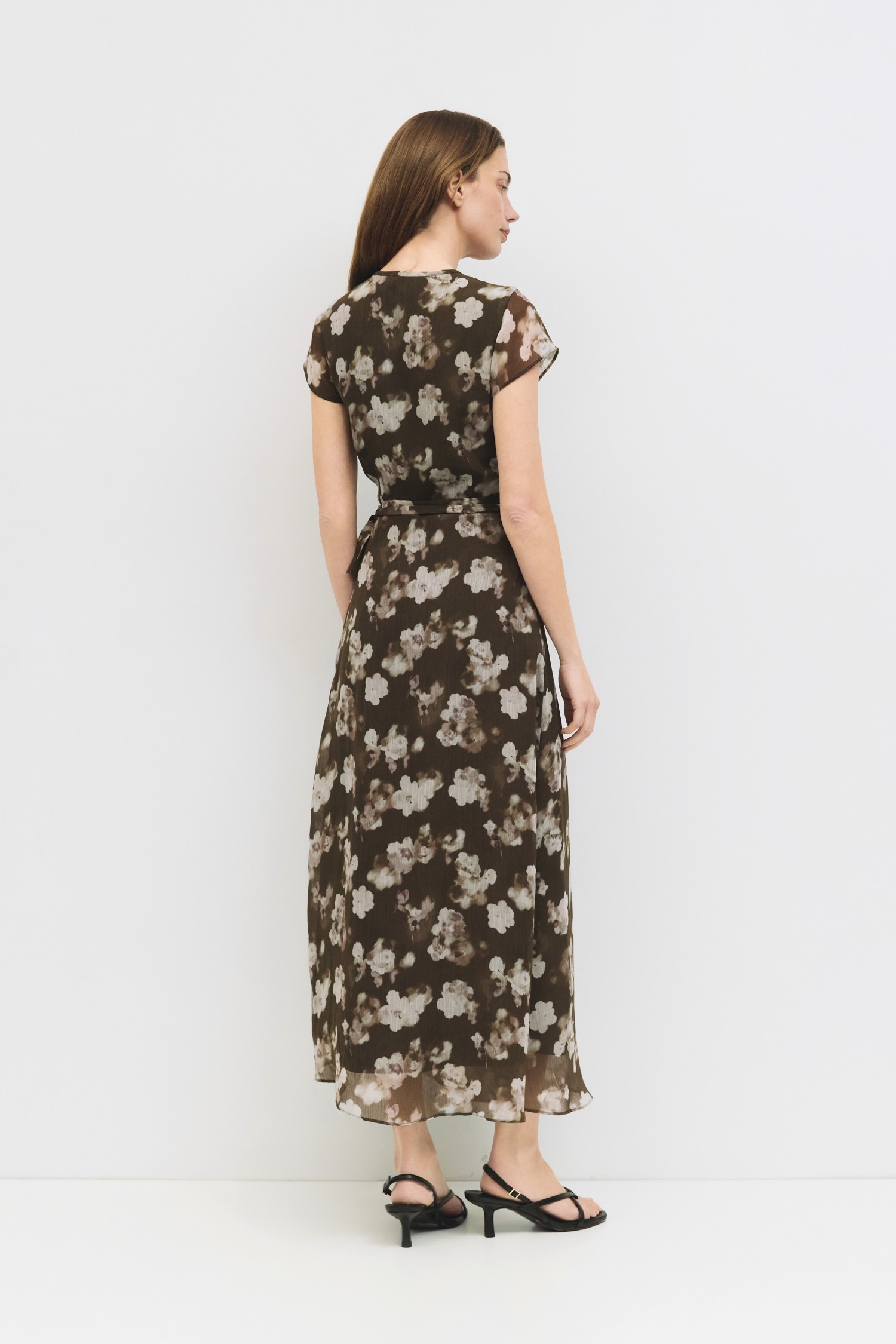 DMR0588-OLIVE