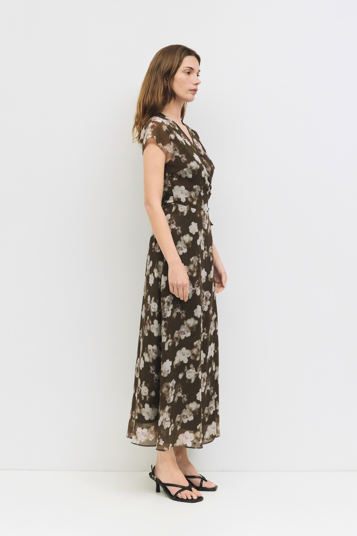 DMR0588-OLIVE