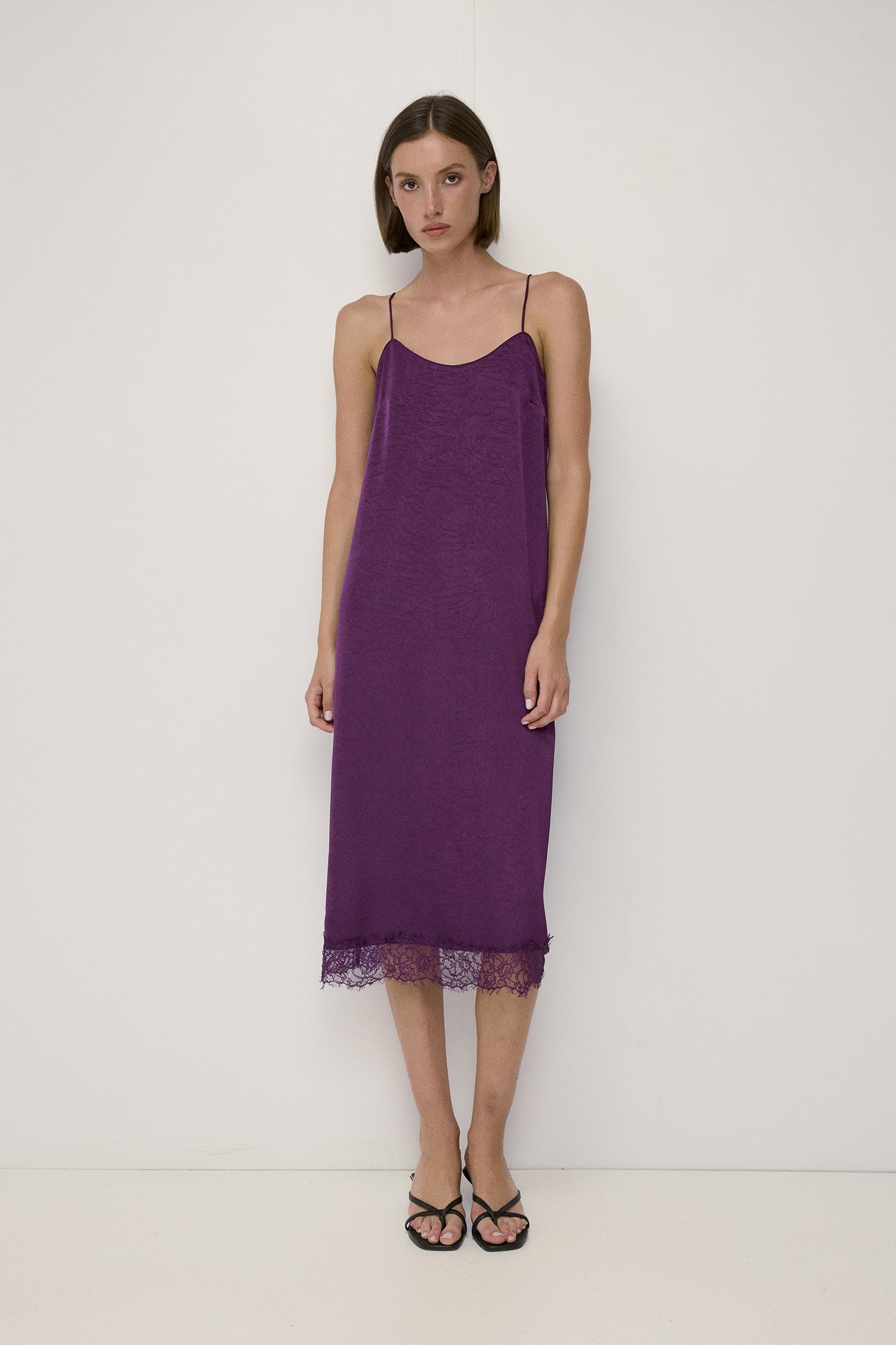 DMR1595-PLUM