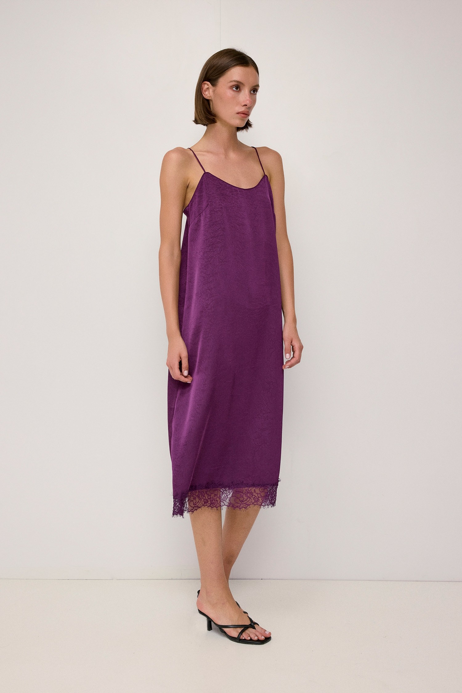 DMR1595-PLUM