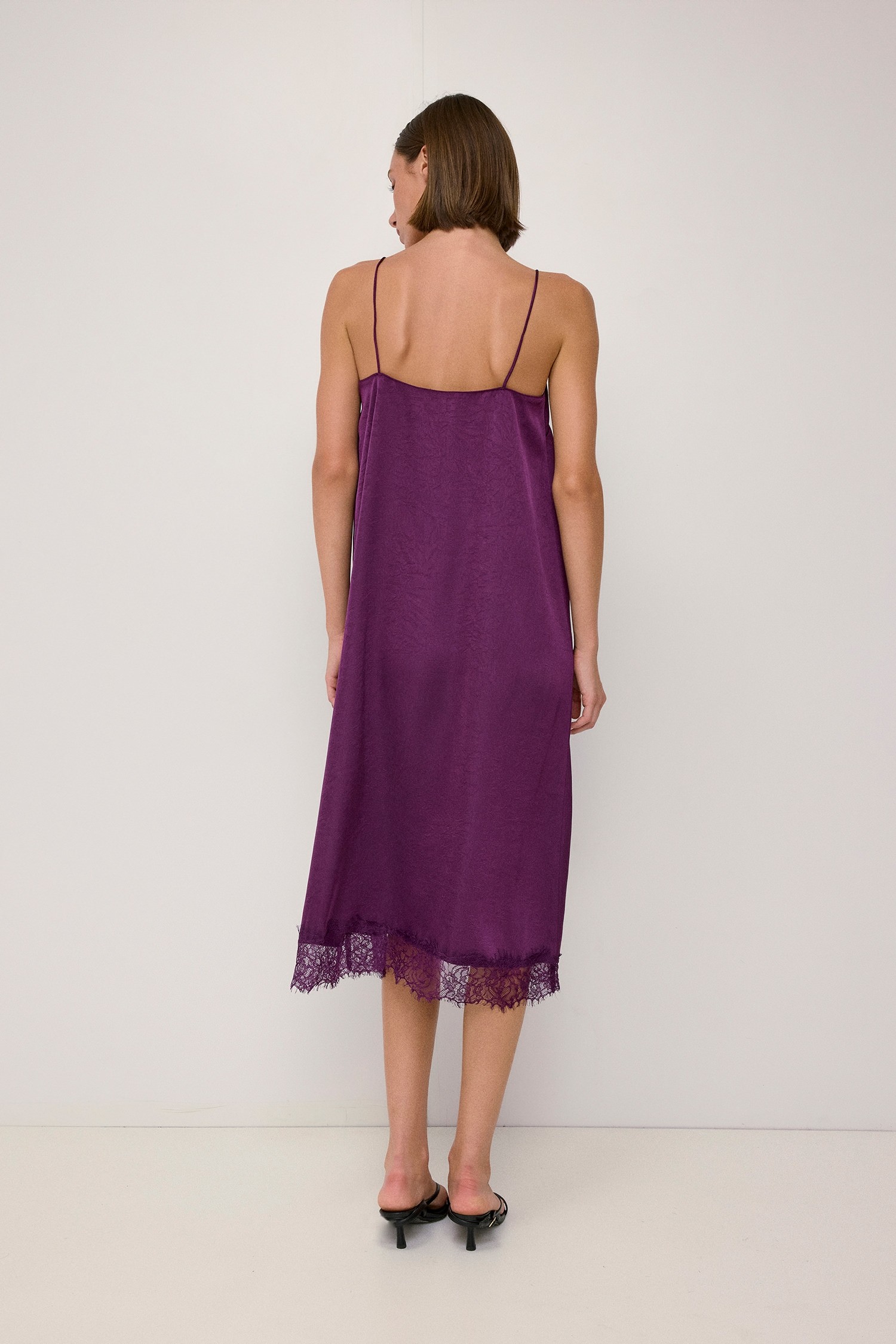 DMR1595-PLUM