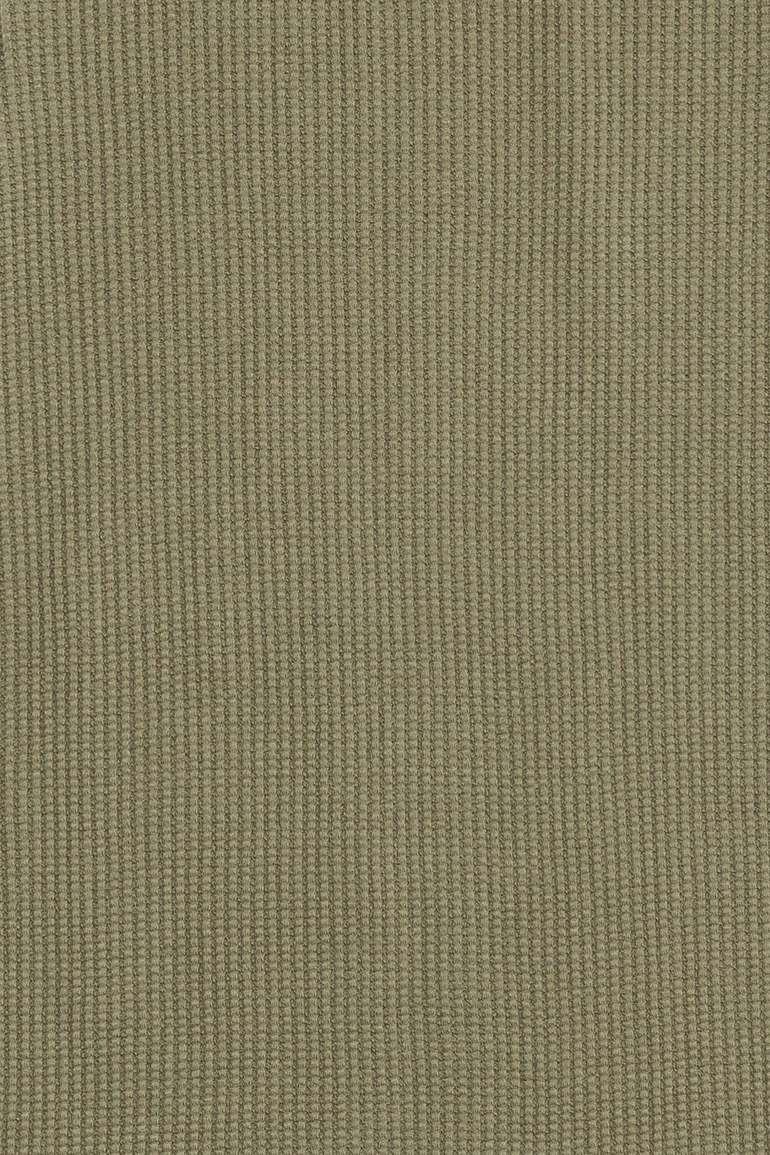 DR2501-LIGHT OLIVE