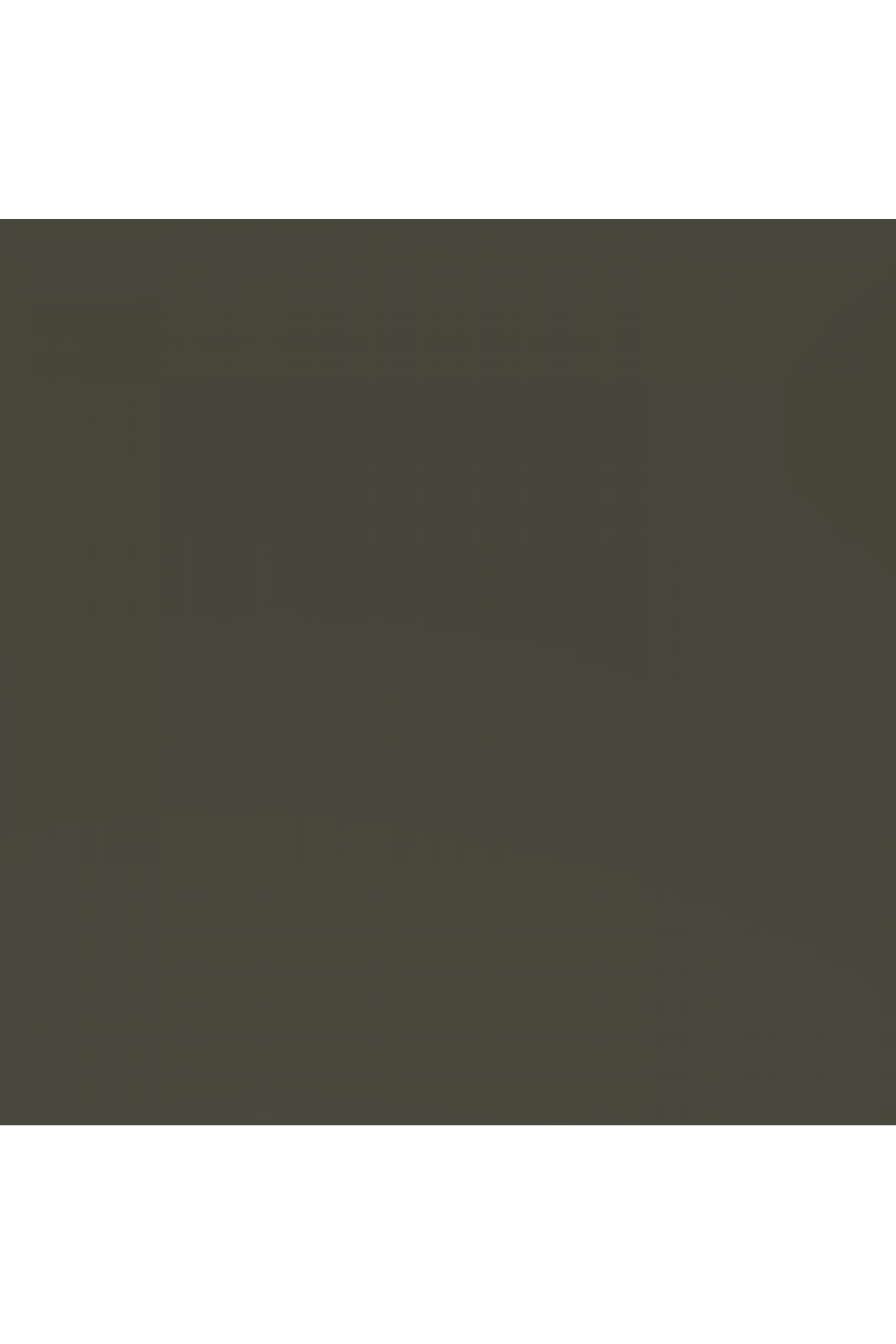 TM1756--OLIVE