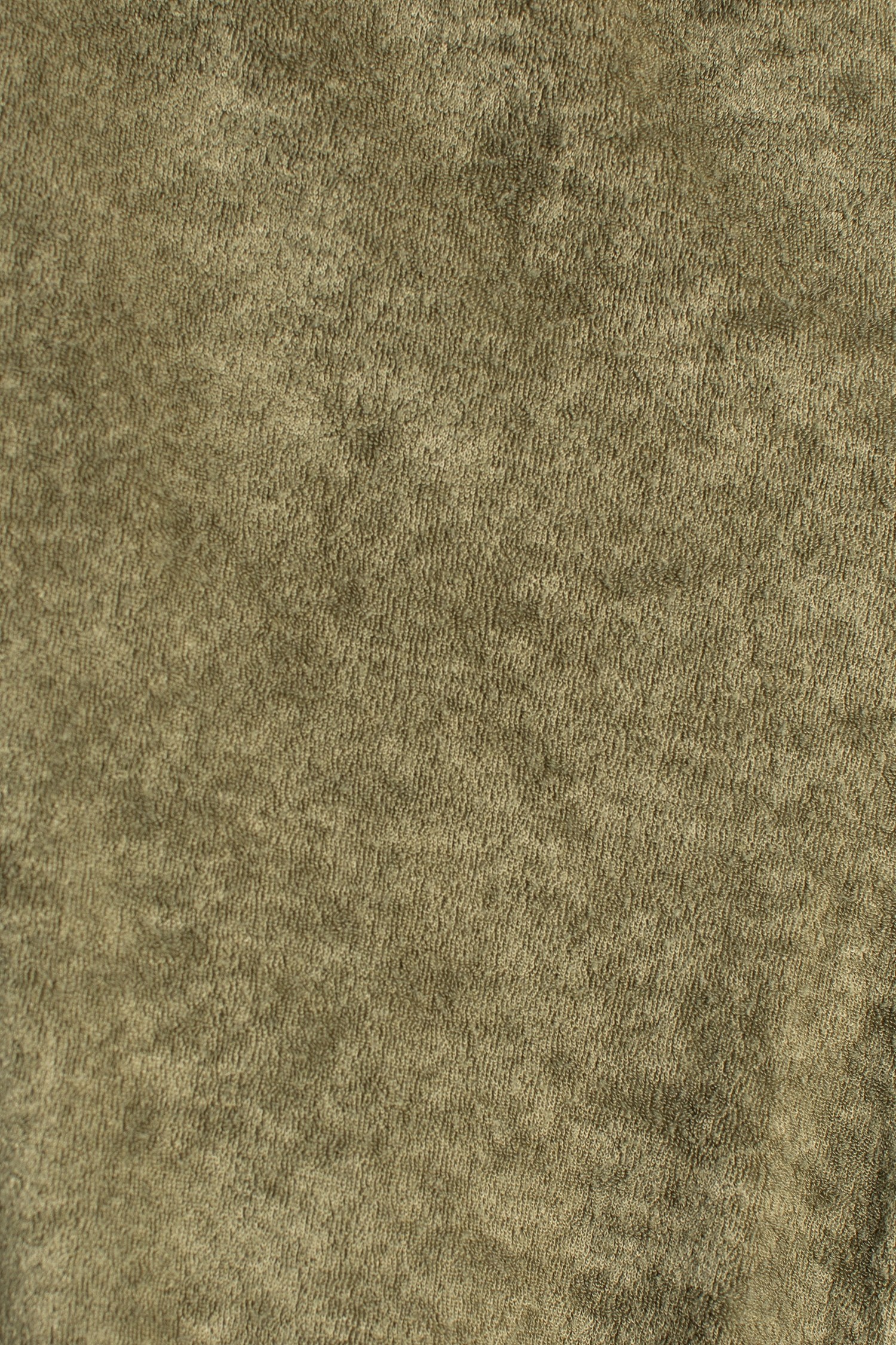 PR2113-OLIVE