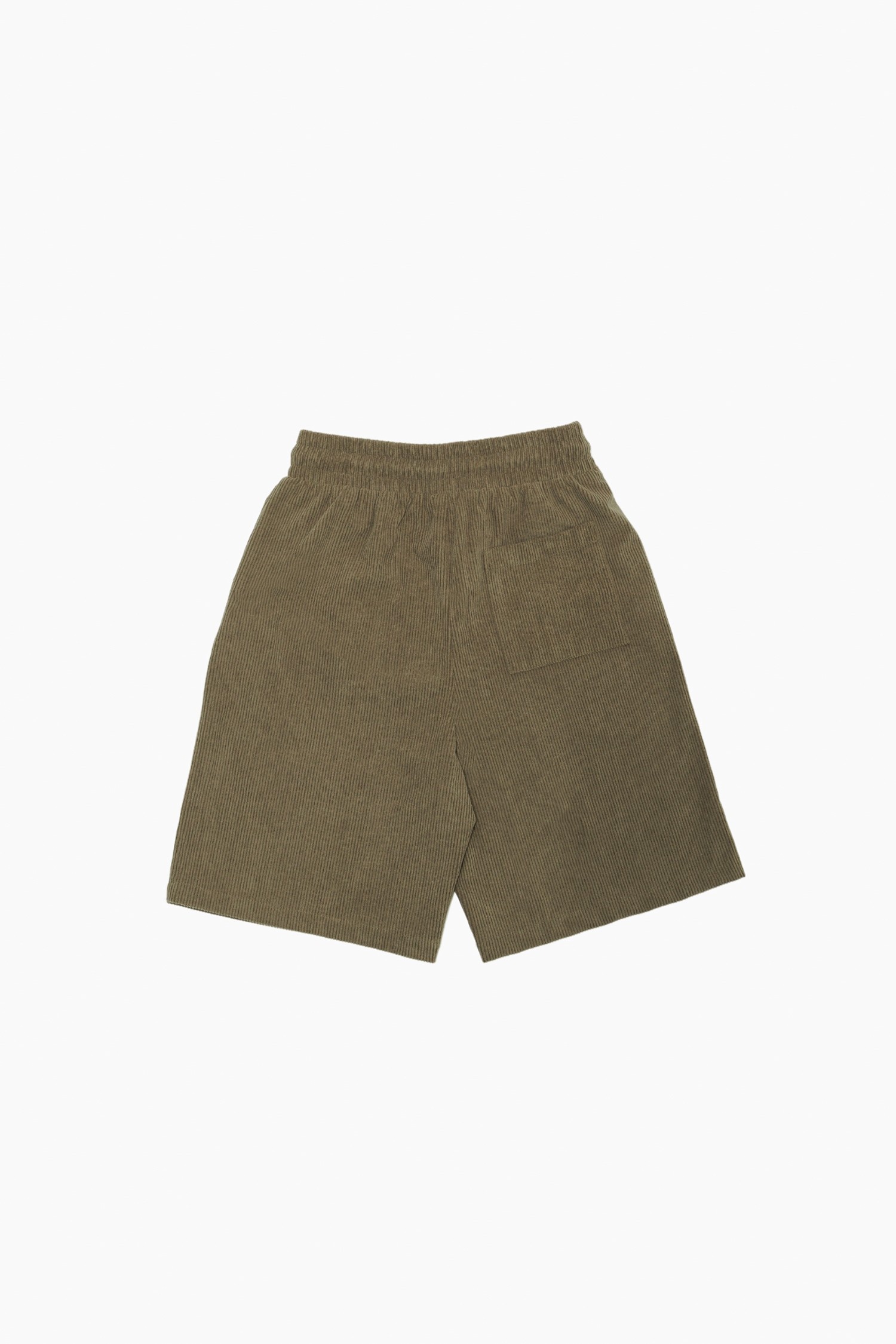 PR2254-OLIVE