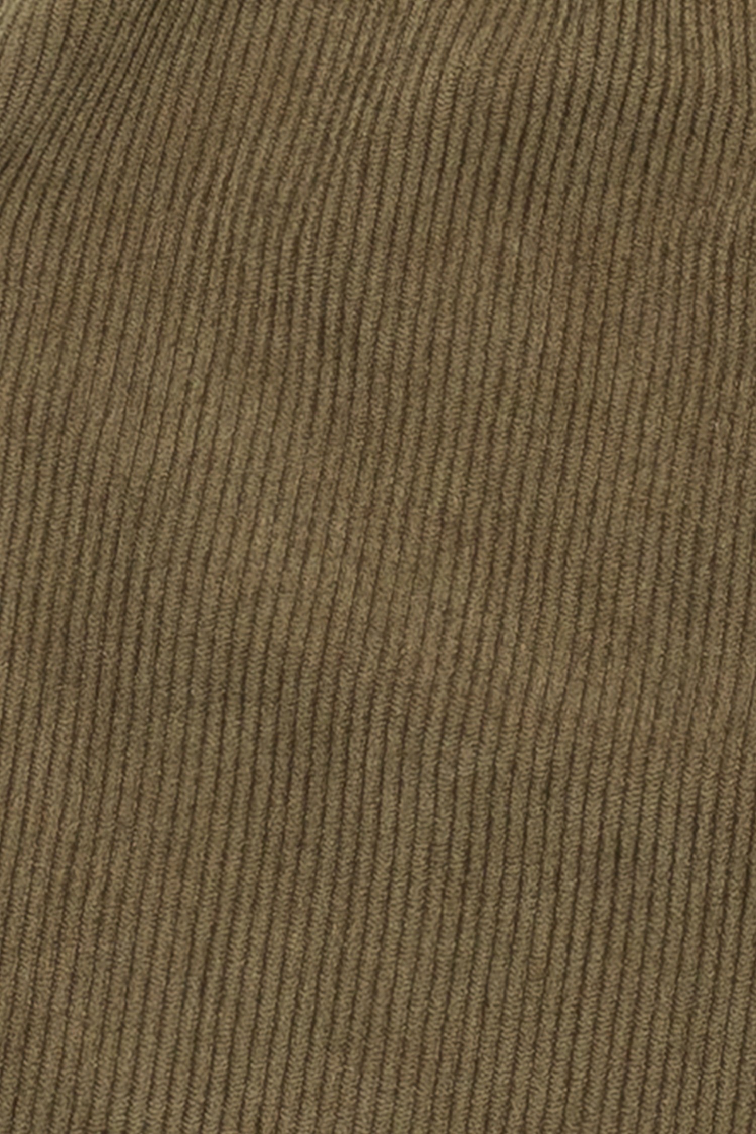 PR2254-OLIVE