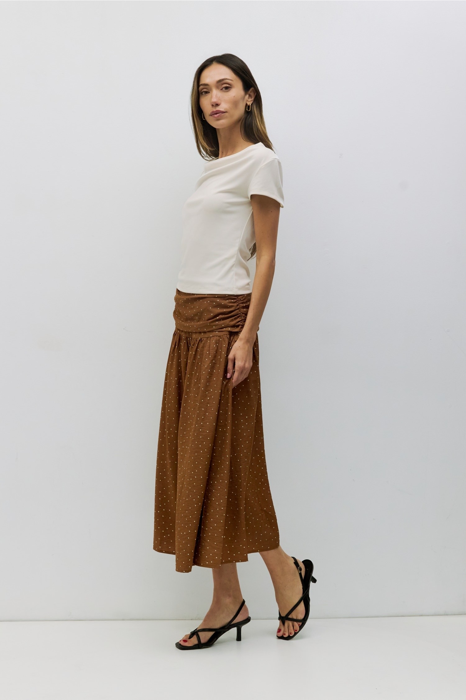 SAR0348-BROWN