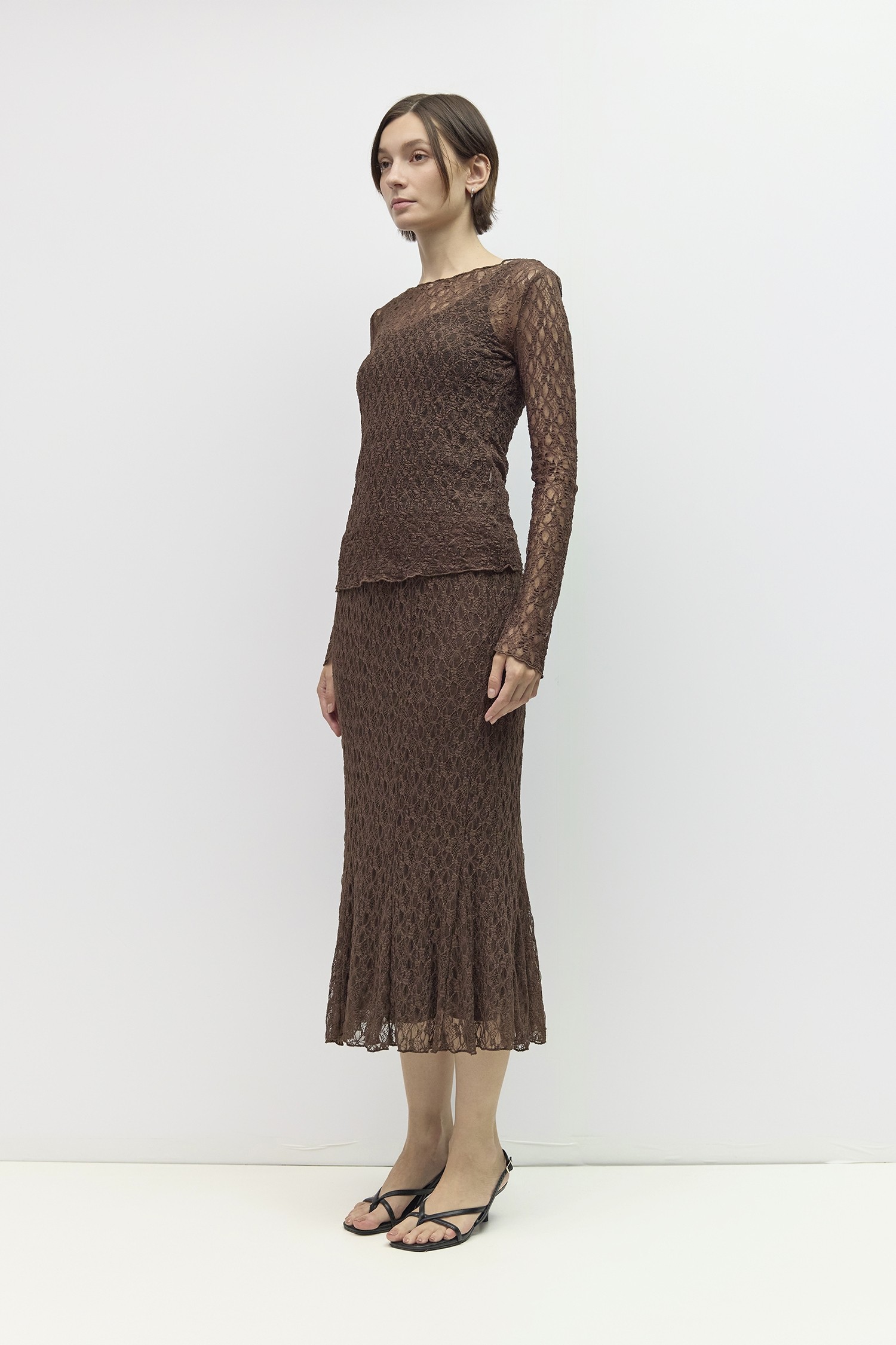 SAR1172-BROWN