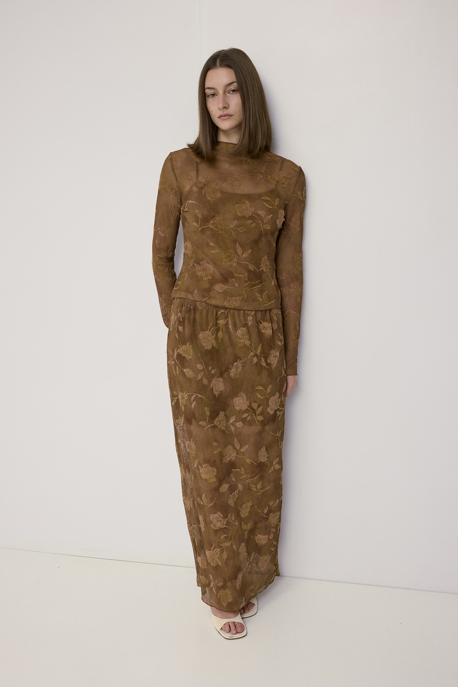 SAR1668-BROWN