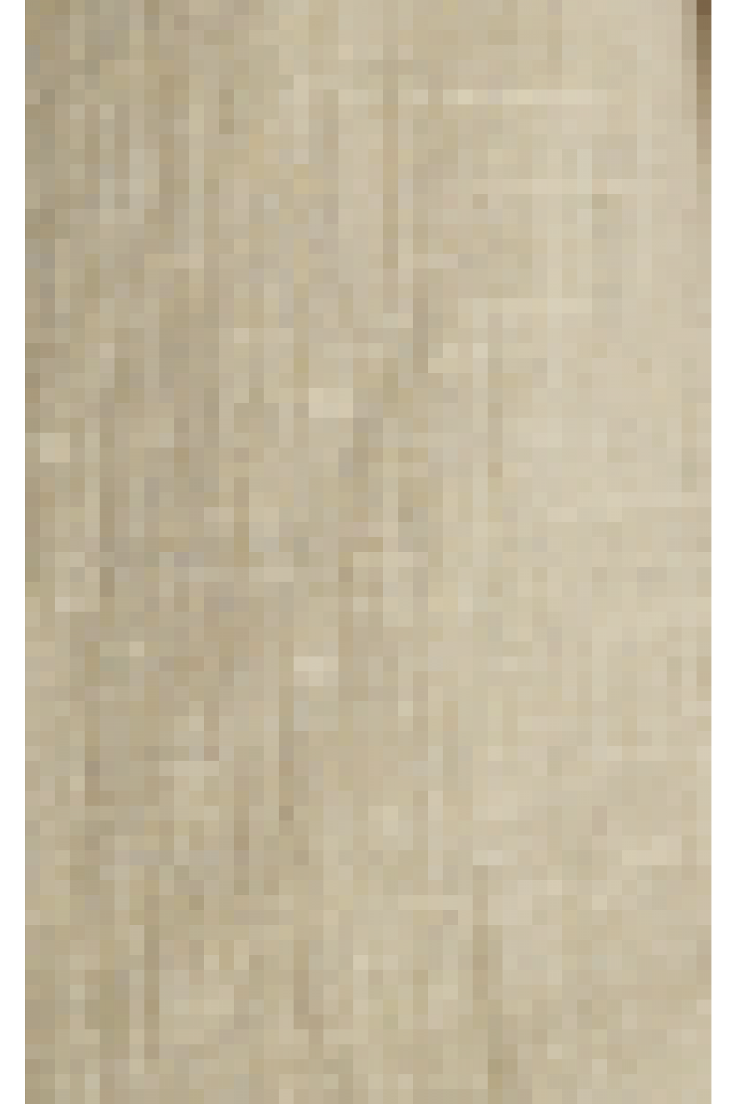 TR3330-BEIGE