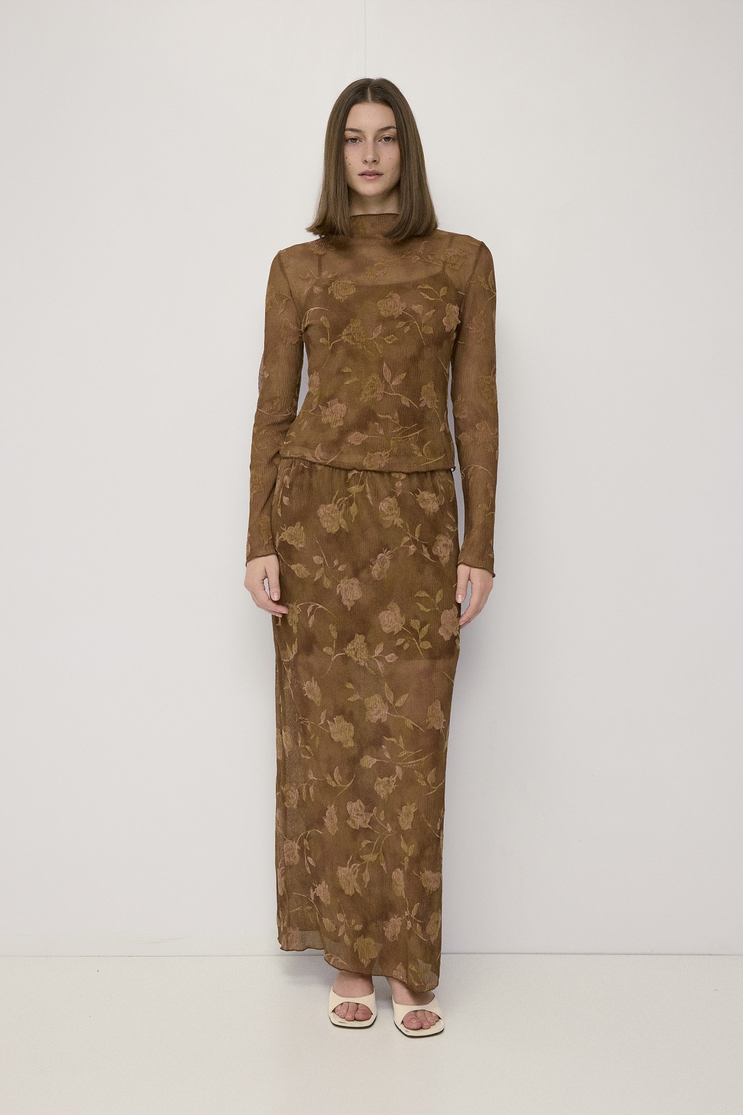 TAR1667-BROWN