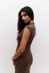 DAR0497-BROWN