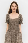 DAR0512-BROWN