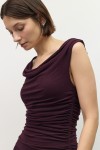 DAR1324-PLUM