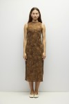 DAR1664-BROWN