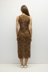 DAR1664-BROWN