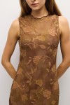 DAR1664-BROWN