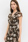 DMR0588-OLIVE