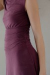 DMR1986-PLUM