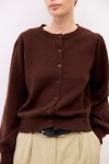 OAR0538-BROWN