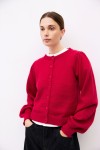 OAR0538-RED