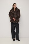 OMR1297-BROWN