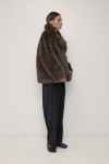 OMR1297-BROWN