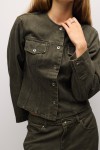 OMR1303-OLIVE