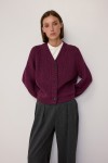OMR1447-PLUM
