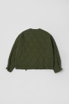 OR1018-OLIVE