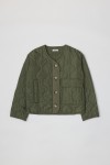 OR1037-OLIVE