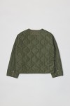 OR1037-OLIVE