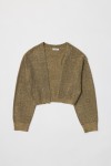 OR1041-CAMEL