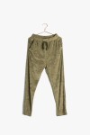 PR2113-OLIVE