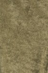 PR2113-OLIVE