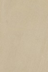 PR2254-CREAM