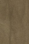 PR2262-OLIVE