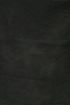 PR2270-FOREST GREEN
