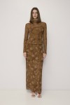 SAR1668-BROWN