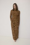 SAR1668-BROWN