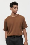 TA1061--BROWN
