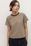 TAR0142-A-BROWN/CREAM