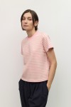 TAR0142-A-PINK-CREAM