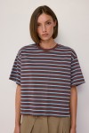 TAR0953-A-D BROWN-BLUE